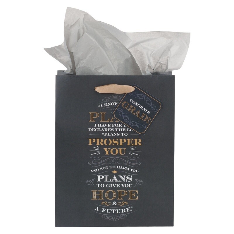 Gift Bag Jeremiah 29:11 Med