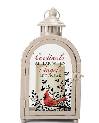 Cardinals Appear Lantern