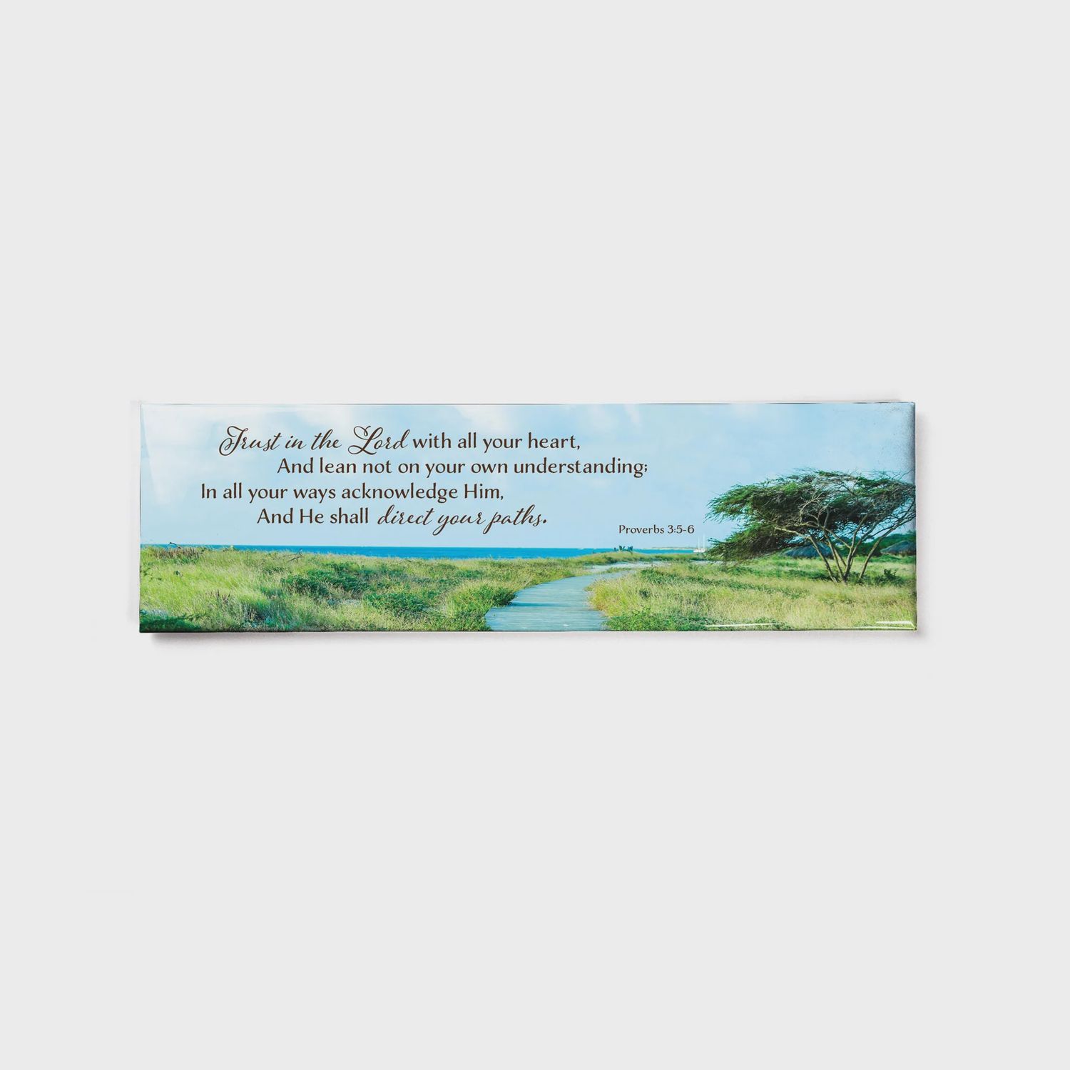 Path - Proverbs 3:5-6 - Large Fridge Scripture Magnet