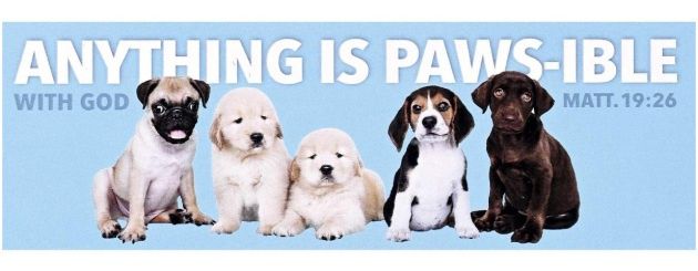 Packaged Bookmarks Anything Paws-Ible