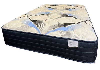 BTI- Shelby 12.5&quot;