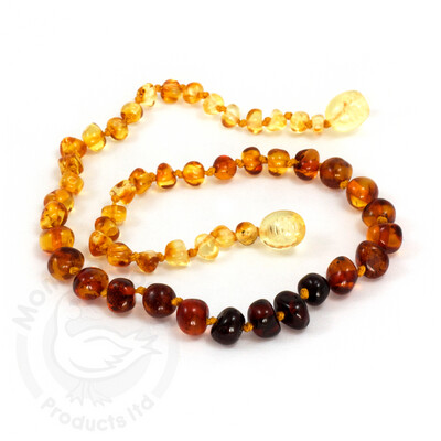 Amber Goose Infant Amber Necklace- Rainbow