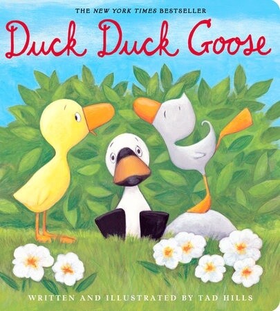 Duck, Duck, Goose- Board Book