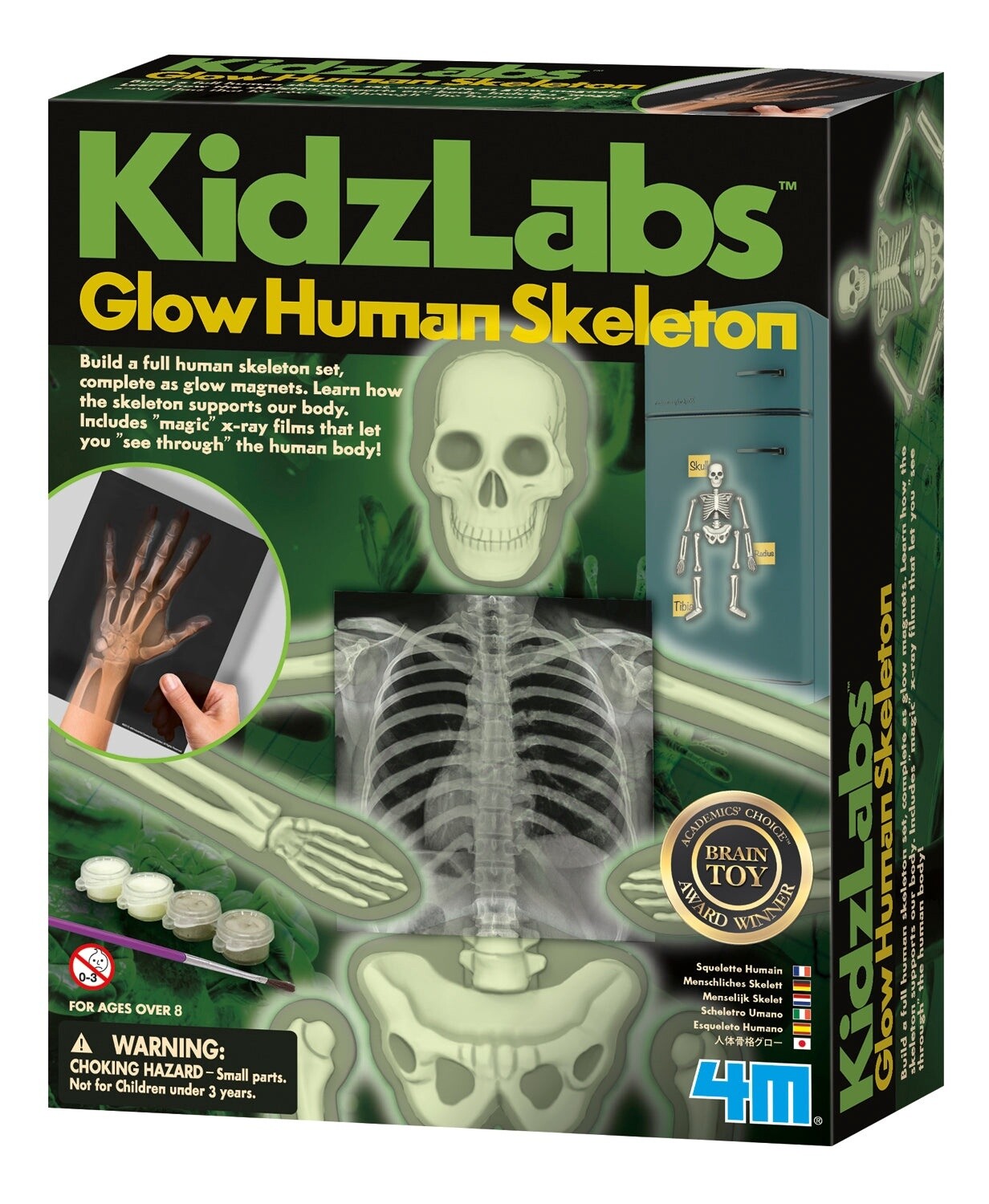 Glow human skeleton