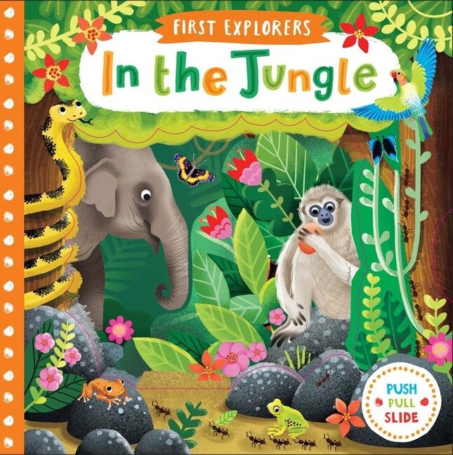 First Explorers: In the Jungle