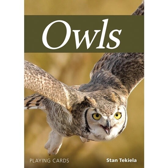 AdventureKEEN owl playing cards