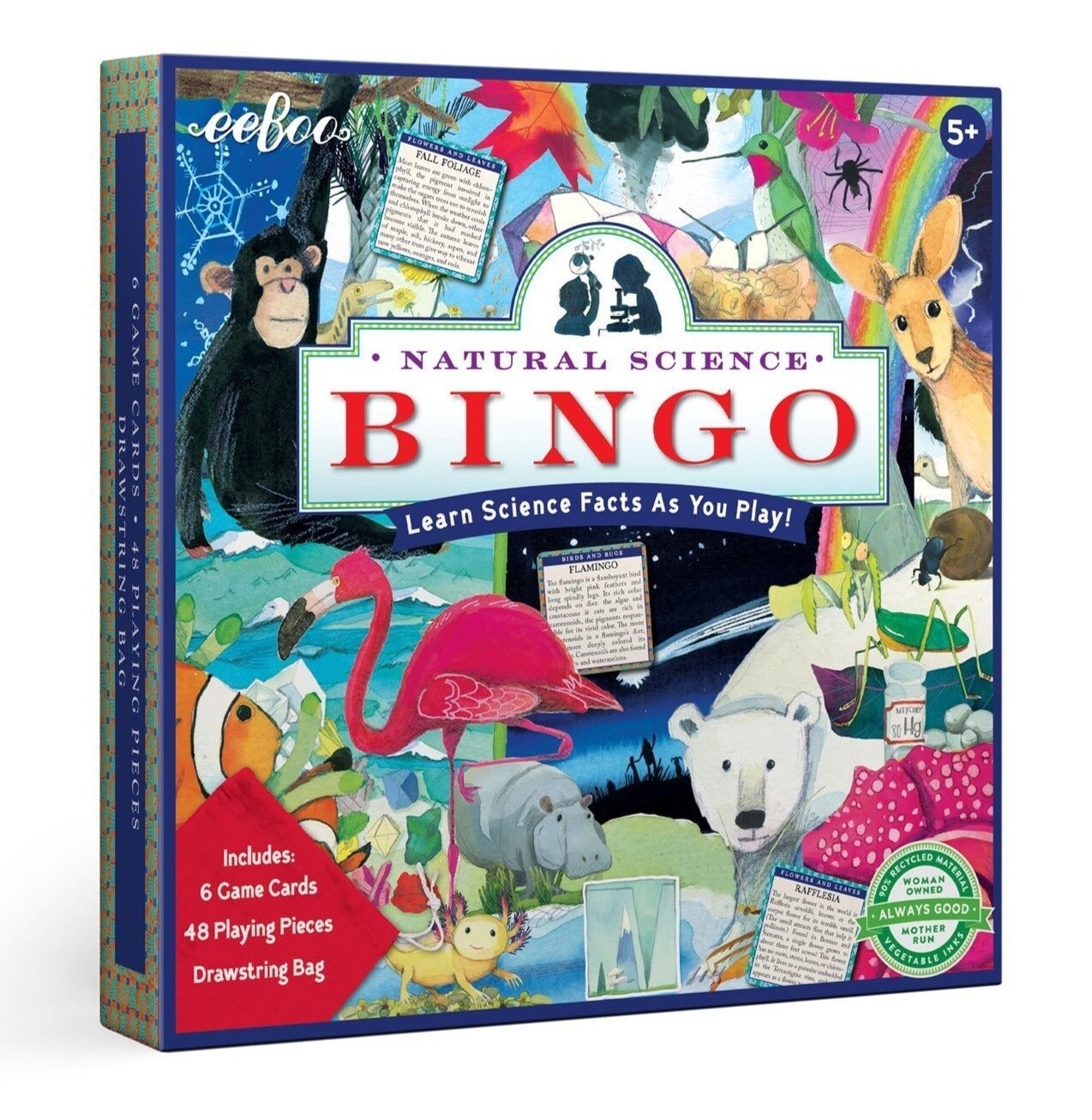 eeBoo bingo game- Natural Science