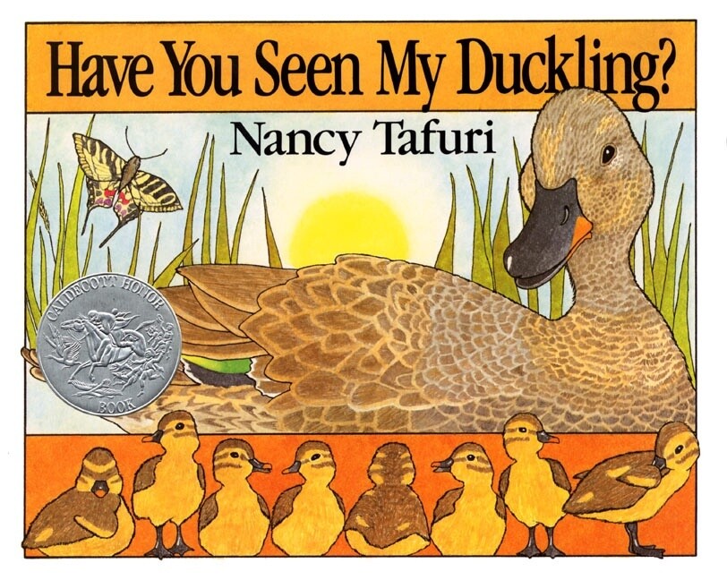 Have You Seen My Duckling?- Board Book