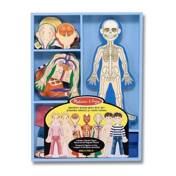 Melissa &amp; Doug magnetic human body play set
