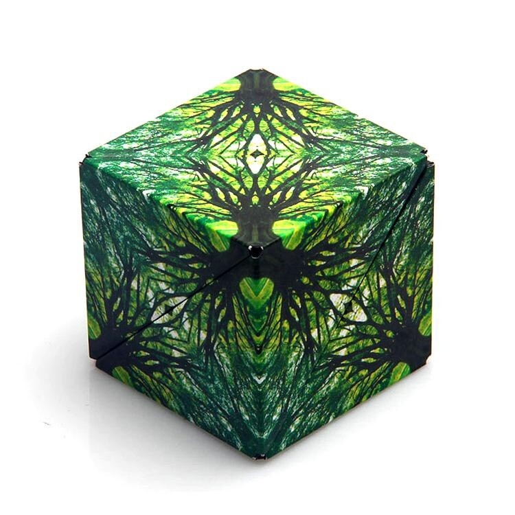 Shashibo shape shifting box- elements