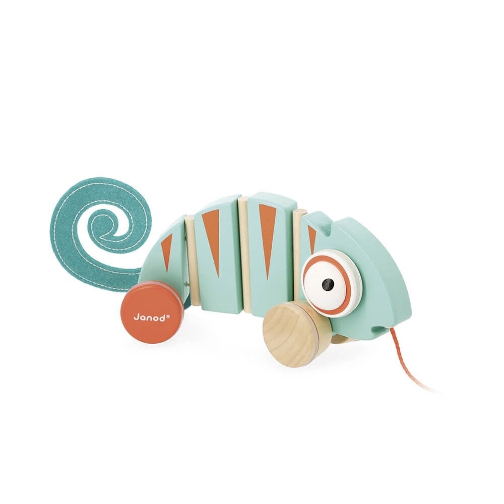 Janod Chameleon Pull Along Toy