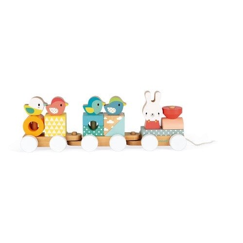 Janod Pure Train Pull Toy