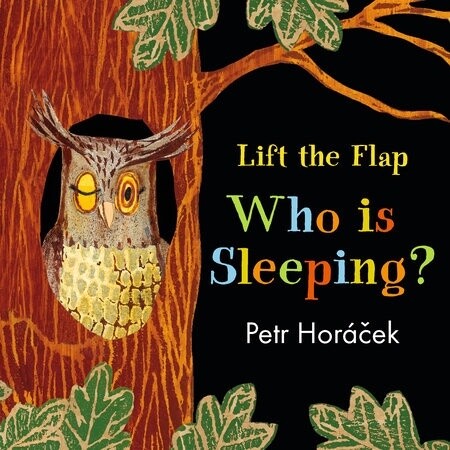 Who is sleeping? Lift The Flap