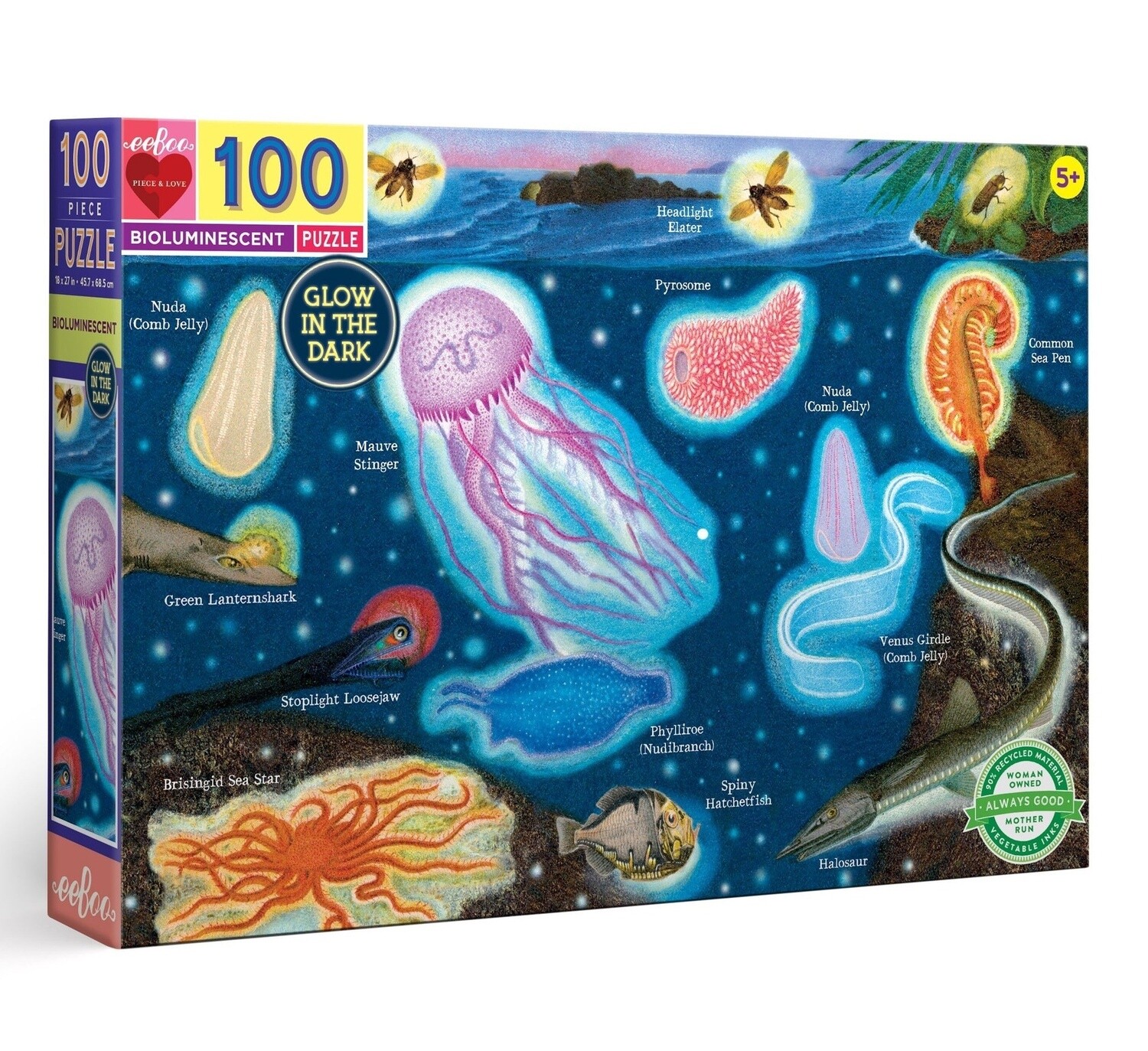 eeBoo 100-piece puzzle- Bioluminescent