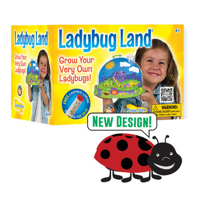 Insect Lore Ladybug Land
