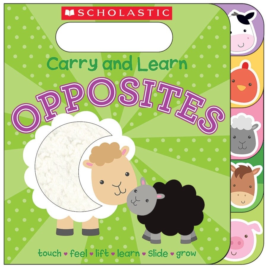 Carry &amp; Learn- Opposites