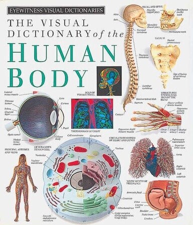 Dictionary of the Human Body