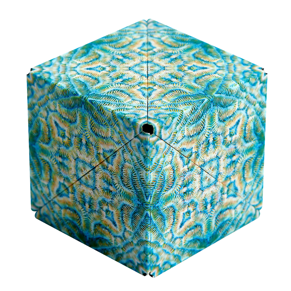 Shashibo shape shifting box- Undersea