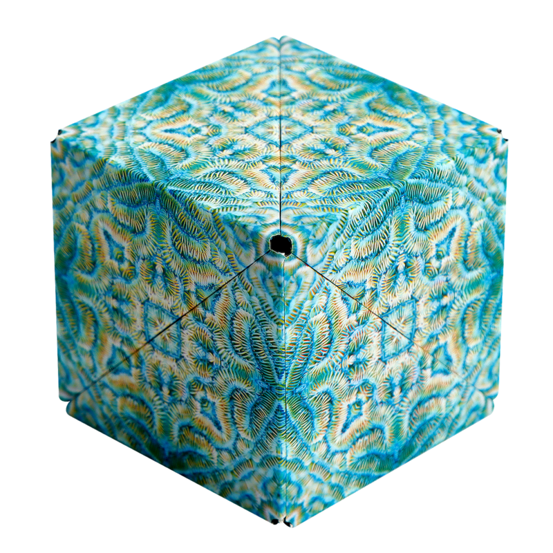 Shashibo shape shifting box- Undersea