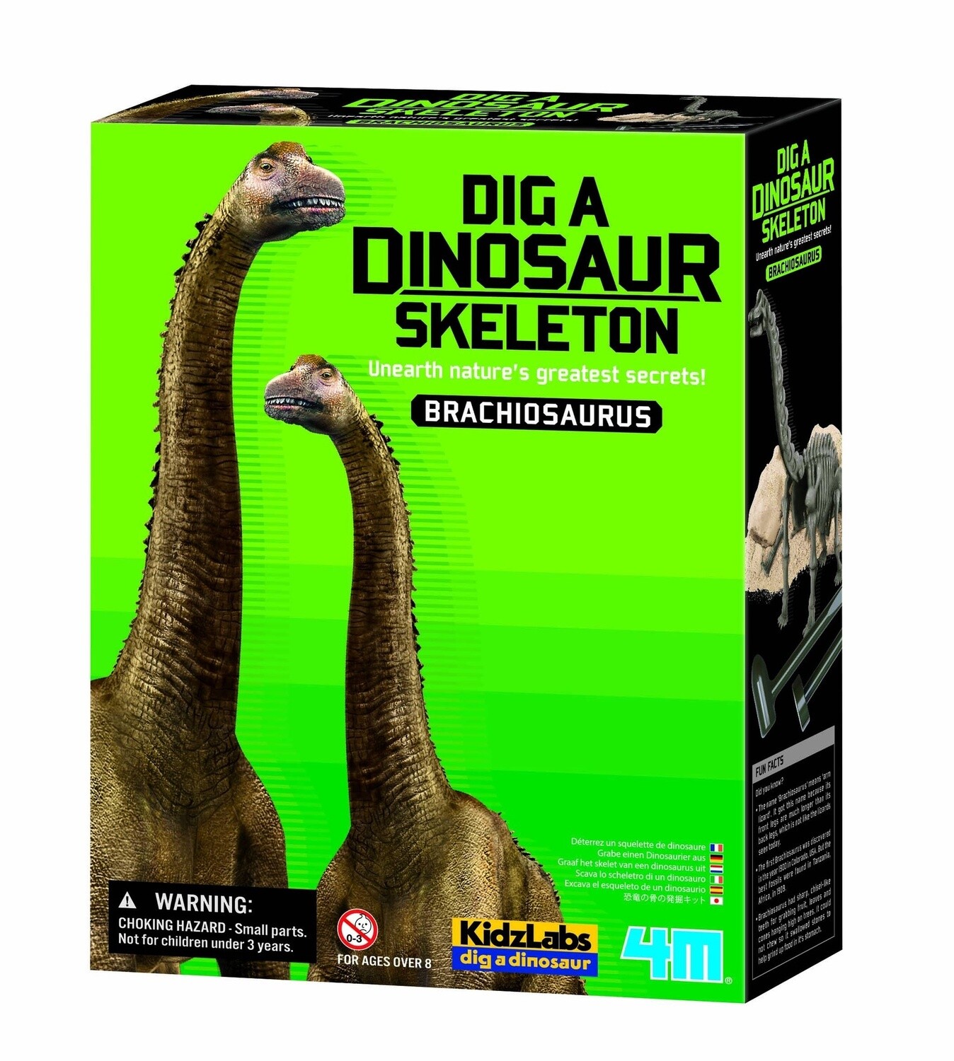 Dig-a-dino kit- Brachiosaurus