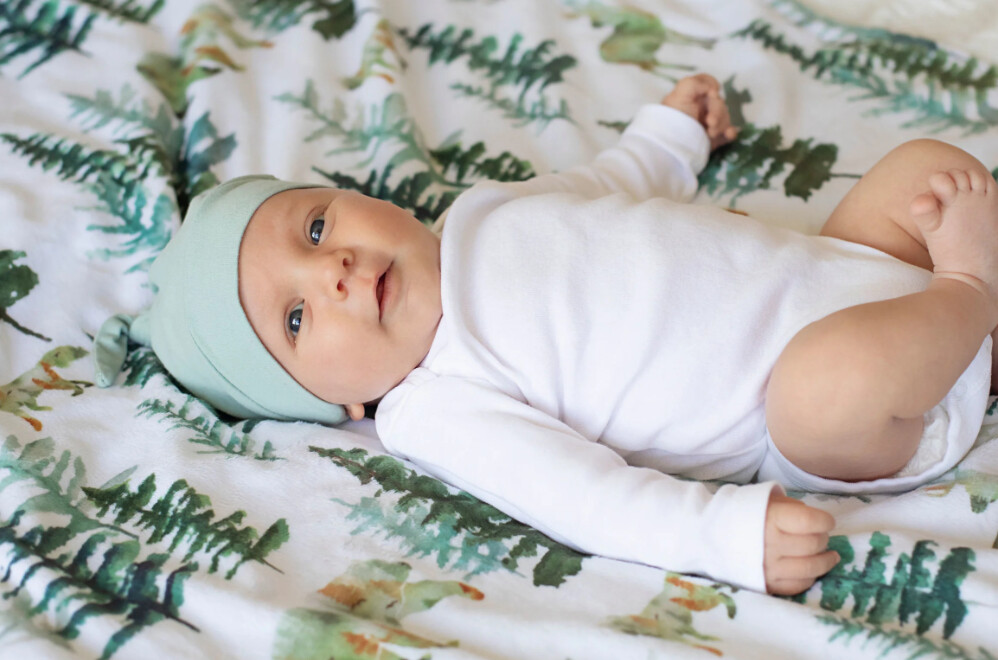 Honey Lemonade - Premium Baby &amp; Toddler Minky Blanket - Into the Woods