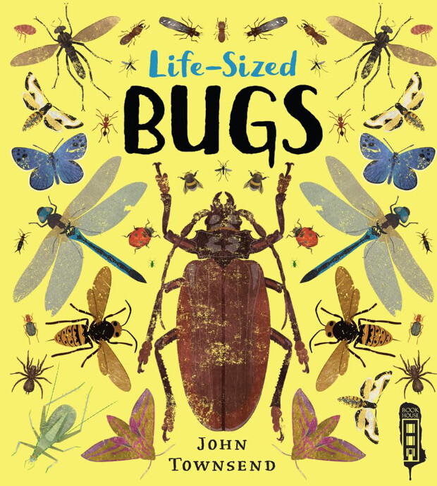 Life Sized Bugs