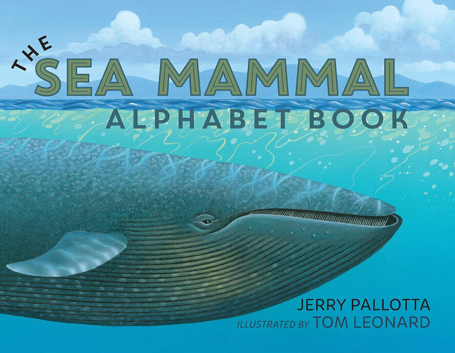 Sea Mammal Alphabet