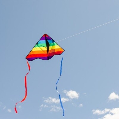 In The Breeze 30&quot; Delta Kite- Rainbow