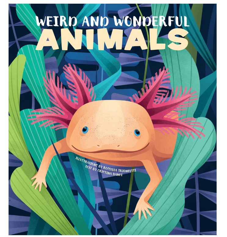 Weird &amp; Wonderful Animals