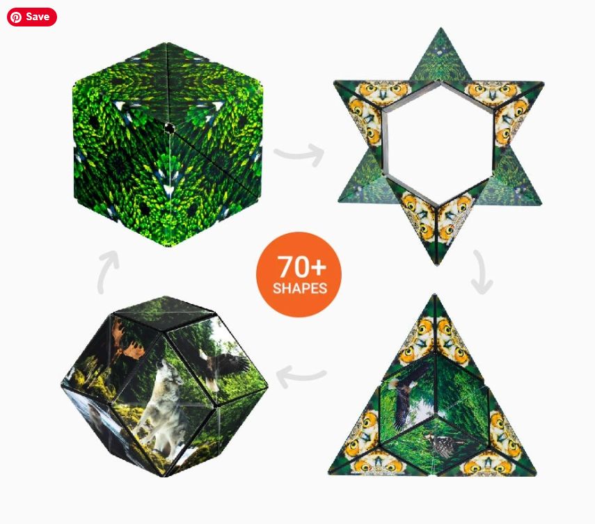 Shashibo Shape Shifting Box- Forest