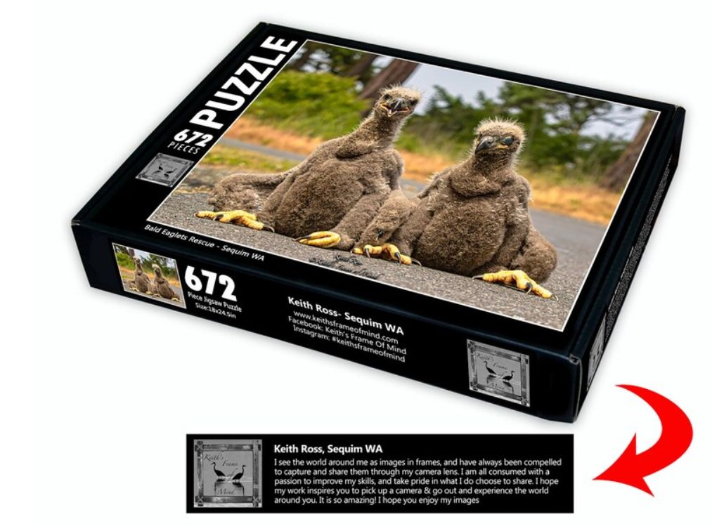 Keith Ross 672pc Eaglet Puzzle