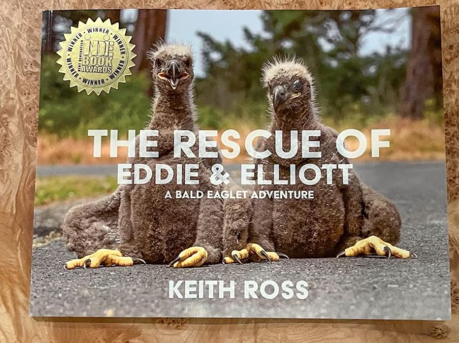 The Rescue of Eddie &amp; Elliot