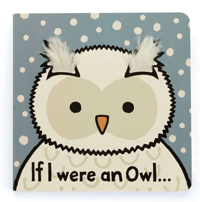 If I Were An Owl Board Book