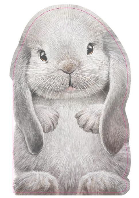 Furry Bunny