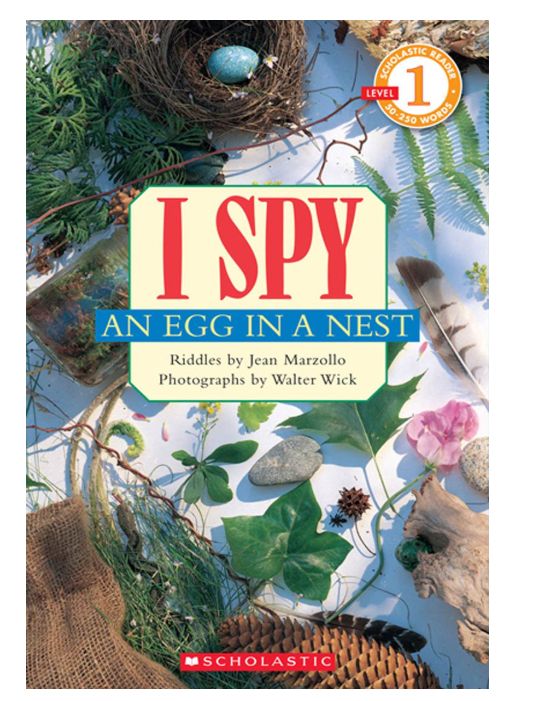 I Spy Paperback- An Egg in a Nest