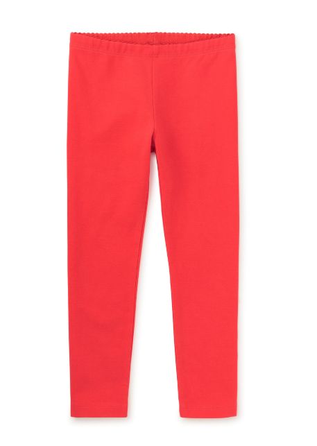 Tea Solid Legging- Scarlett