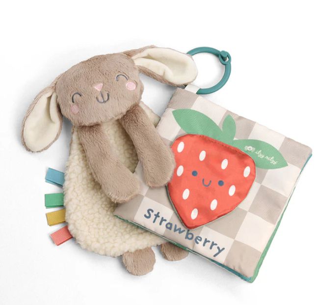 Itzy Ritzy Learn &amp; Snuggle Gift Set
