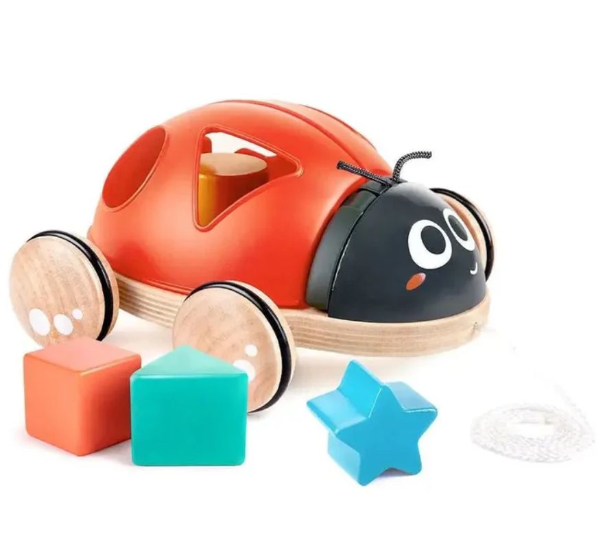 Hape Shape Sorter Ladybug
