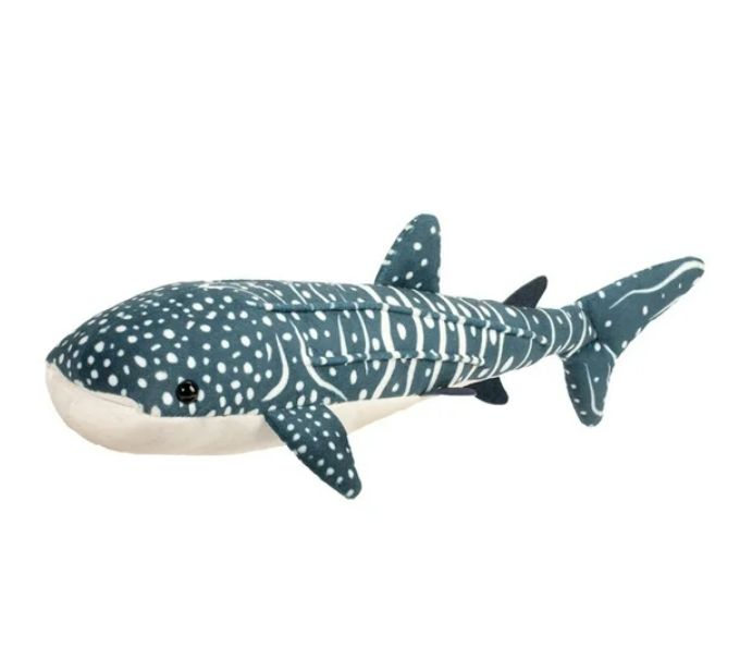 Douglas Decker Whale Shark