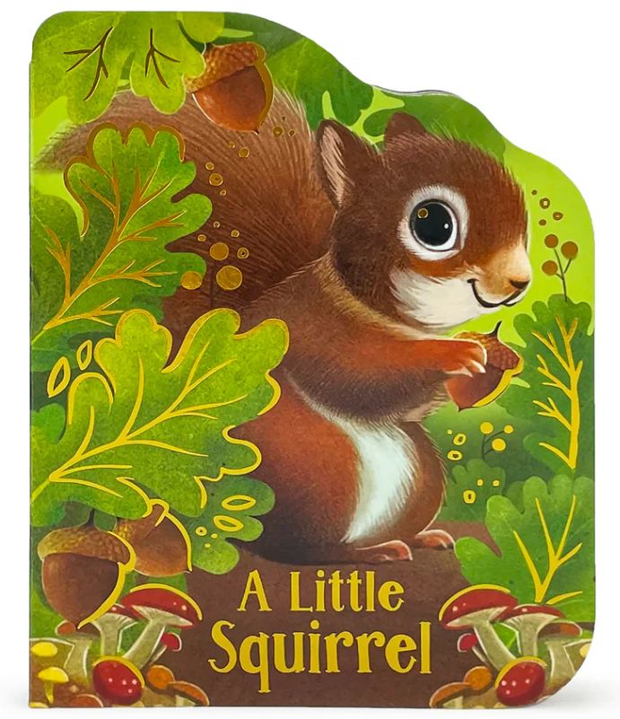 A Little Squirrel Shaped Board Book