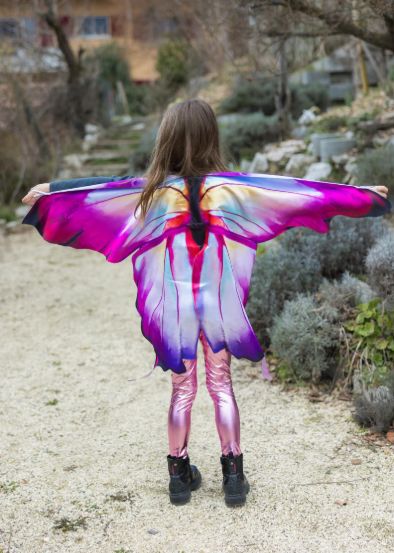 Great Pretenders Ombre Butterfly Soft Wings