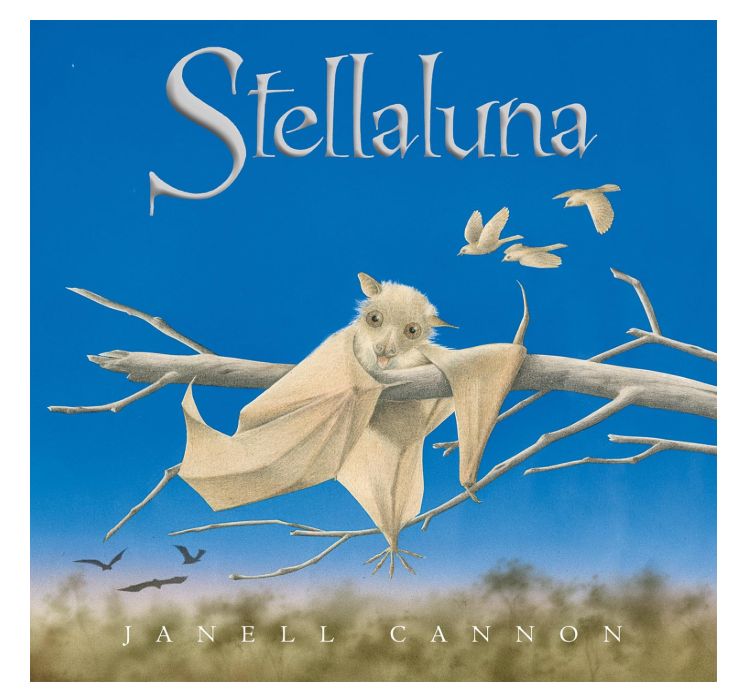 Stellaluna Board Book