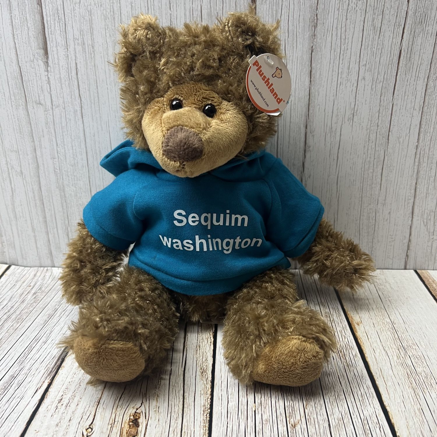 Plushland 10" Bear with Sequim Hooded Shirt