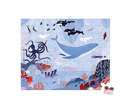 Janod 100pc Puzzle - Arctic Ocean