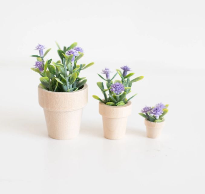MacyMae Small Potted Flower Plant- lavender