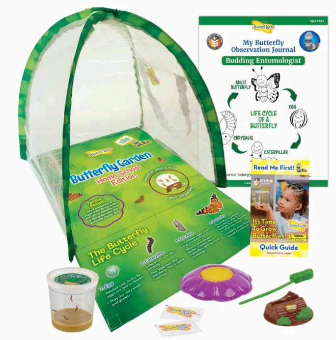 Insect Lore Butterfly Garden Kit with Caterpillars