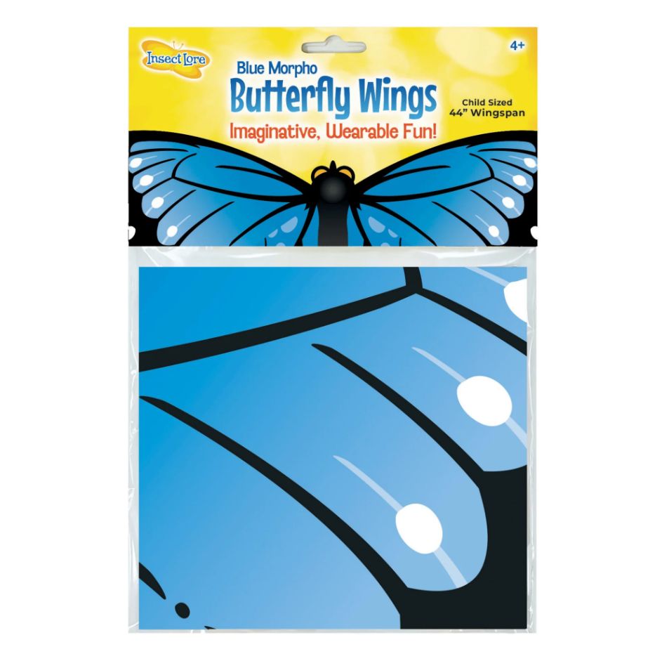 InsectLore Blue Morpho Butterfly Wings