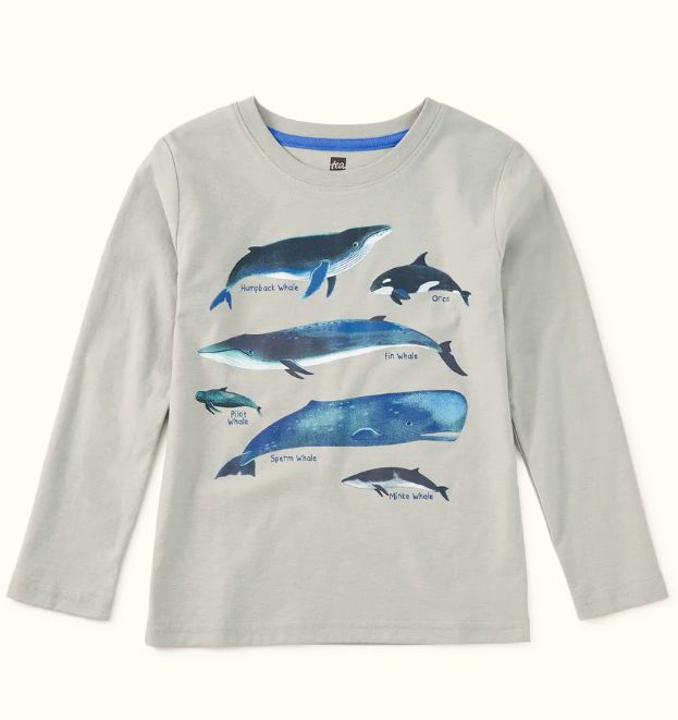 Tea Whale Discovery Tee- Mica Grey