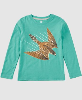 Tea Peregrine Falcon Tee- Glaze Blue