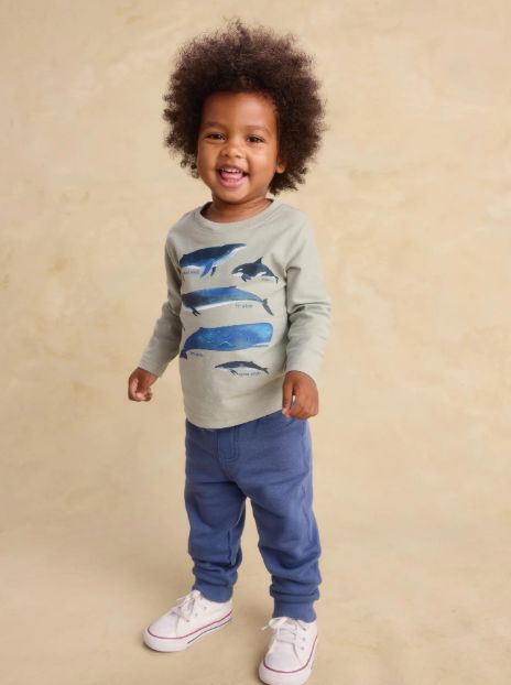 Tea Infant Whale Discovery Tee- Mica Grey
